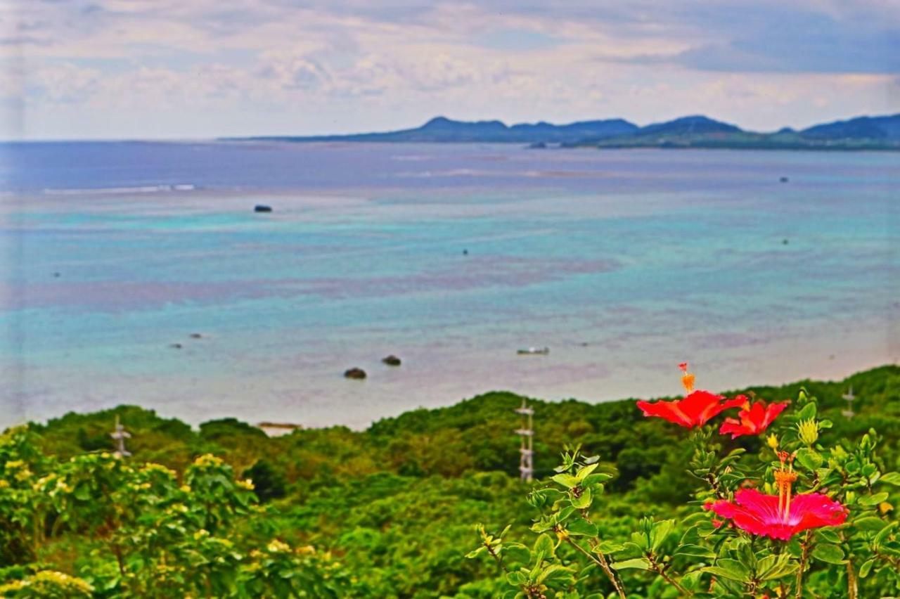 Little Mermaid Hotel Ishigakijima Ishigaki  Dış mekan fotoğraf