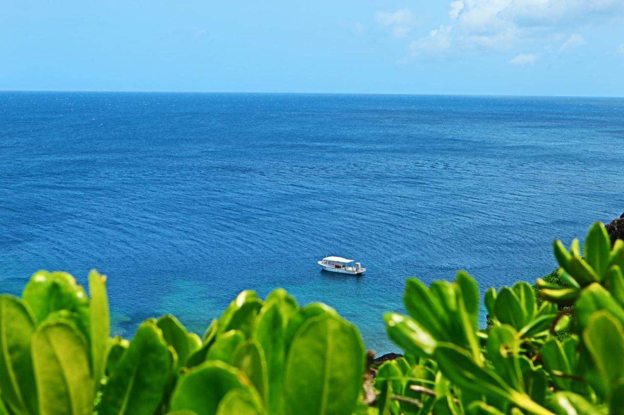 Little Mermaid Hotel Ishigakijima Ishigaki  Dış mekan fotoğraf